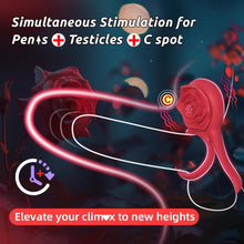 Load image into Gallery viewer, Vibrating Cock Ring with Rose Clitoral Stimulator